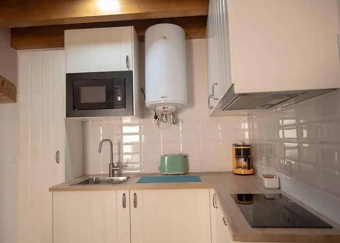 Duplex Casco Antiguo At Postigo 20 Appartement Caces